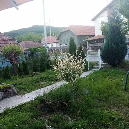 Apartmani Lina Ribarska Banja Eksteriør billede