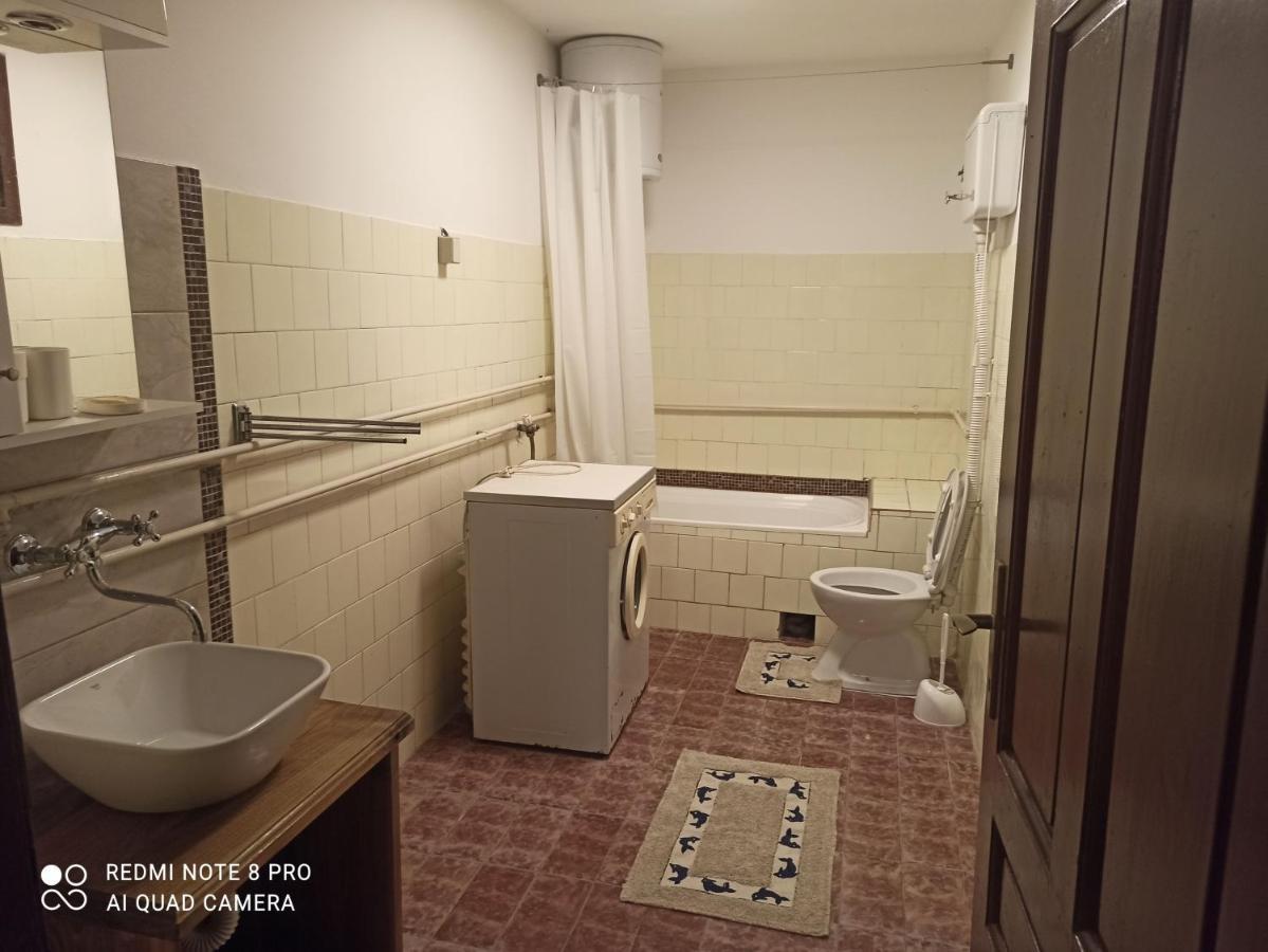Apartmani Lina Ribarska Banja Eksteriør billede