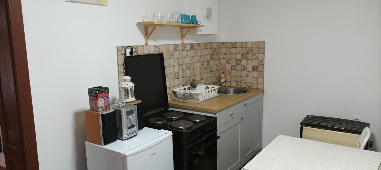 Apartmani Lina Ribarska Banja Eksteriør billede