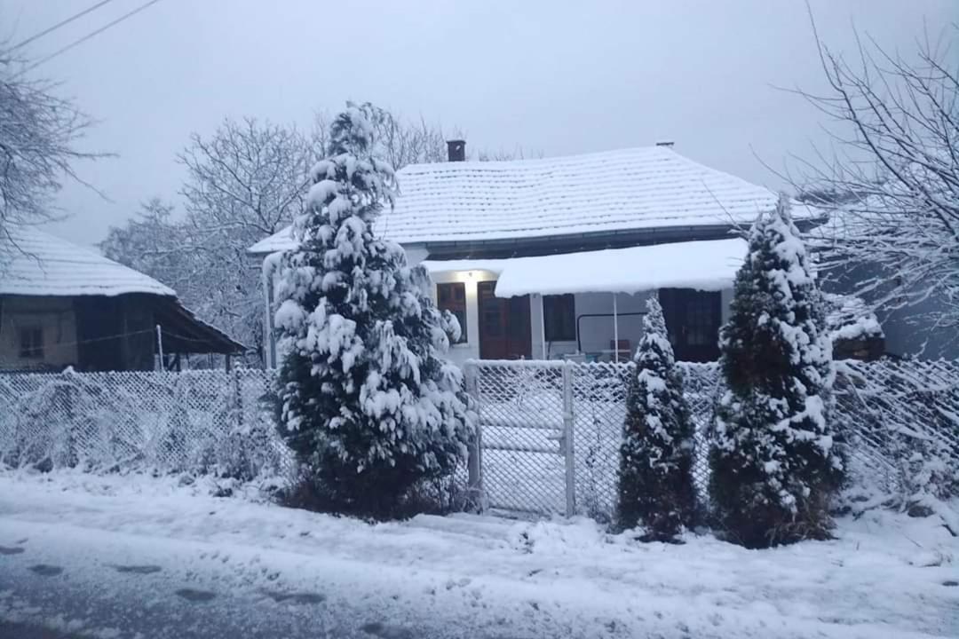 Apartmani Lina Ribarska Banja Eksteriør billede